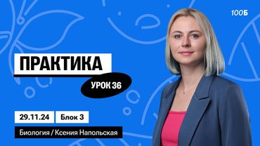 Практика | Биофак 2025 | Урок 36