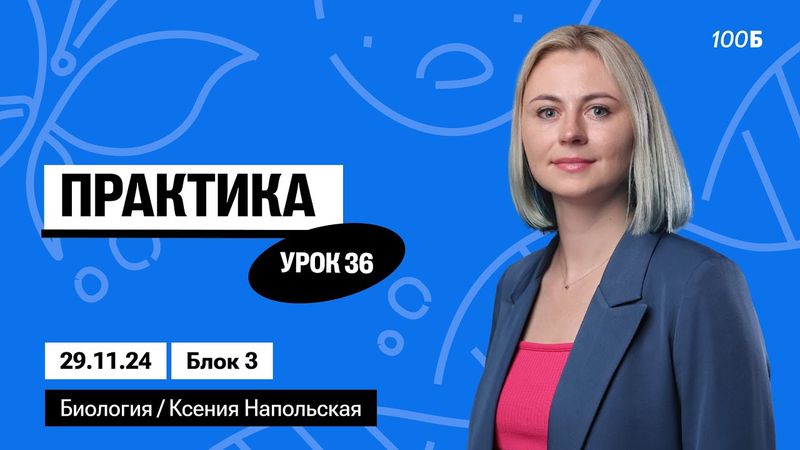 Практика | Биофак 2025 | Урок 36