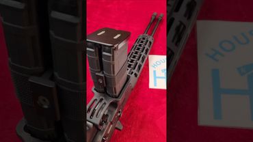 Gilboa Snake Double Barrel 556