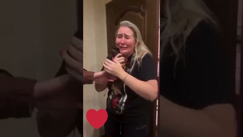 Собака в подарок🤗🐕❤️🥳#собака #юмор #подарок #любовь #shorts