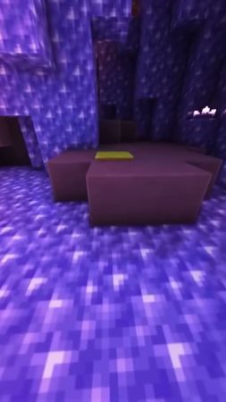 Вот пять удивительных фактов о животных! 1.Осьминоги имеют три сердца...