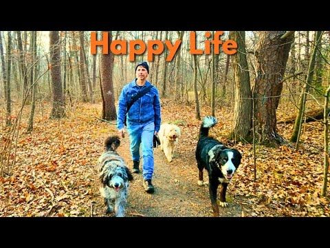 Why "Happy Wife, Happy Life" Doesn't Work