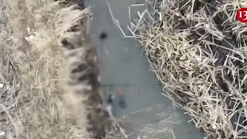 Дуже хороше відео про хорошого росіянина