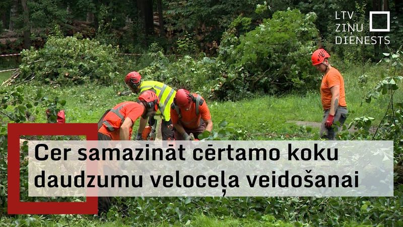 Rīgas domē joprojām asos toņos turpinās diskusijas par topošo veloceliņu Rīga–Babīte–Piņķi