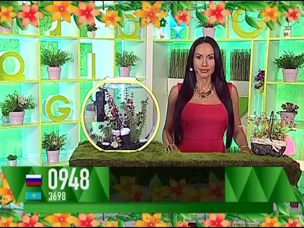 Ксения Ибрагимова - "Счастливый час" (07.07.16)