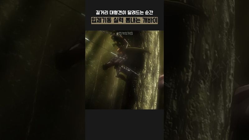 입체기동 개바이 #진격거 #진격의거인