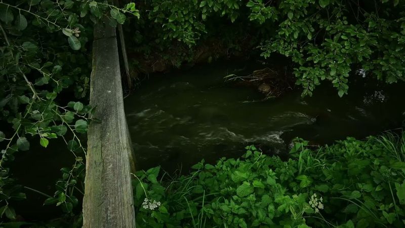 River White Noise: Peaceful Sounds for Better Sleep!