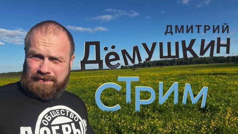 Европа против. (Дмитрий Демушкин)