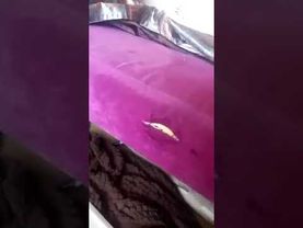 Трахнул тахту