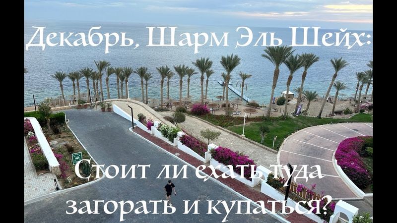 Декабрь 2025 Шарм Эль Шейх - Invidia Coral Beach Tiran - бассейны аквапарк тренажерка понтонный пирс
