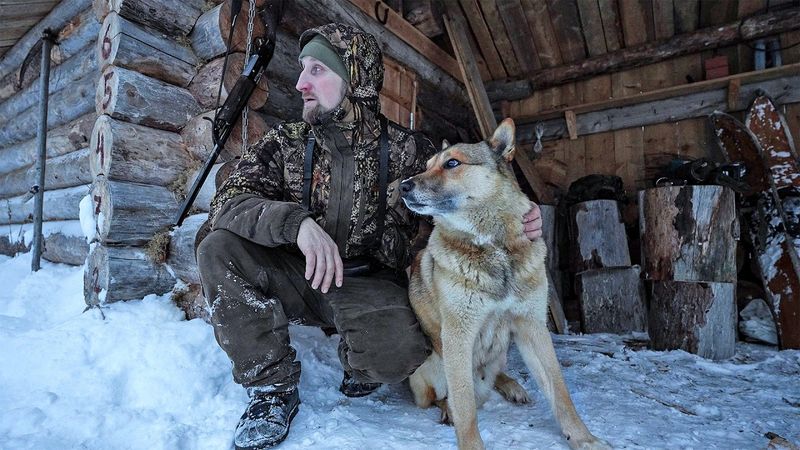 ЖИЗНЬ В ТАЁЖНОЙ ИЗБЕ. ПРОМЫСЕЛ ПУШНИНЫ И ОХОТА НА БОРОВУЮ ДИЧЬ.