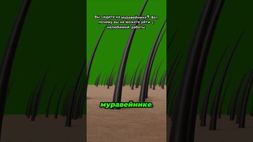 Надоело сидеть на муравейнике и тебя кусают в пятую точку?Жду ваши комментарии😅Обсудим это😀