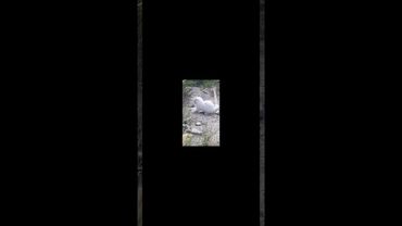 Неможлива єдність на Землі з панівним класом