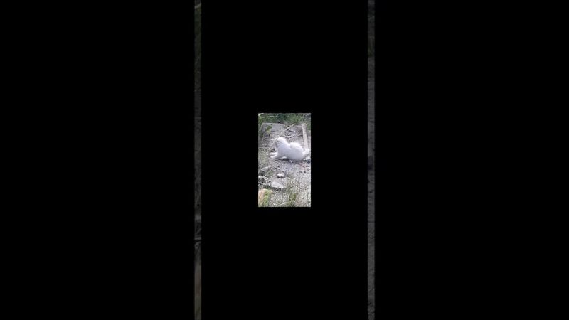 Неможлива єдність на Землі з панівним класом