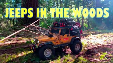 We took our RC Jeeps in the woods. Relaxing Video - YJ Wrangler 1/10 scale RC