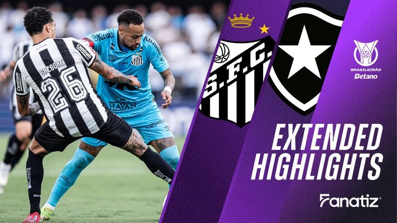 Santos vs. Botafogo 0-1 | Game Highlights | #Brasileirao2025
