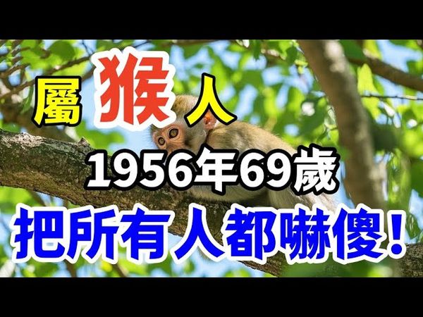 屬猴人1956年69歲，把所有人都嚇傻！註定與眾不同！