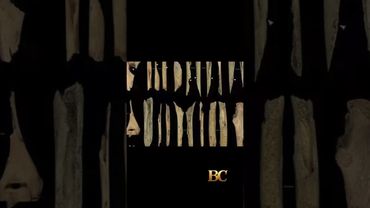 Spanish archaeologists find signs of war cannibalism from 5,700 years ago