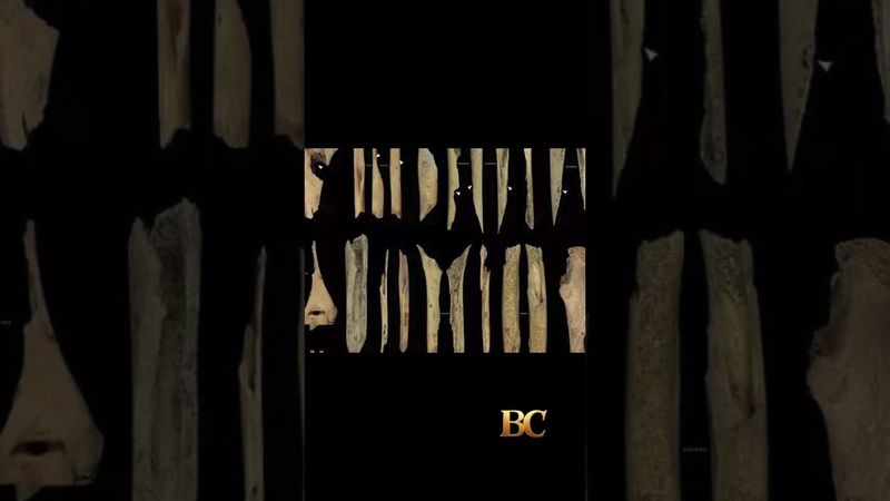 Spanish archaeologists find signs of war cannibalism from 5,700 years ago