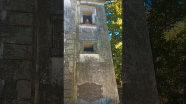 СВЯЩЕННЫЙ ЛЕС🇮🇹#обзор #рекомендации #мир #интересно #путешествия #история #шортс