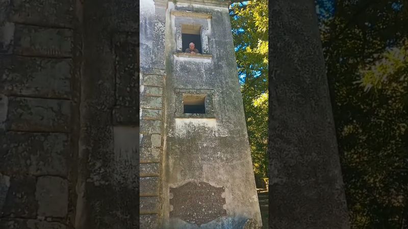 СВЯЩЕННЫЙ ЛЕС🇮🇹#обзор #рекомендации #мир #интересно #путешествия #история #шортс