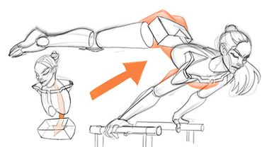 Simplified ANATOMY - Everything I Wish I Knew