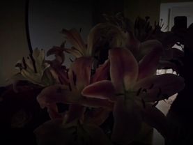 - но тебе лучше бежать | #футажи #музыка #песня #music #текстпесни 