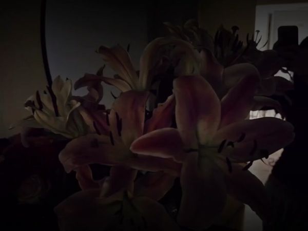 - но тебе лучше бежать | #футажи #музыка #песня #music #текстпесни 