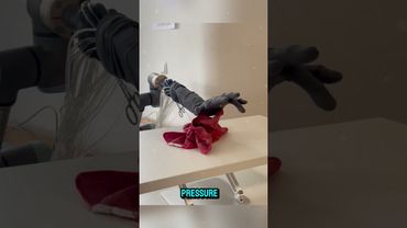 Advanced Bionic Robotic Arm