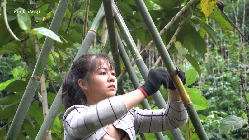 Free bushcraft ! Building simple survival shelter - Solo bushcraft & camping alone #57