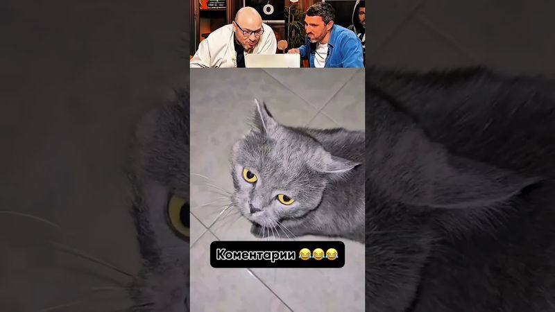 КОММЕТАРИИ ОТДЕЛЬНЫЙ ВИД ИСКУССТВА 🤣😱