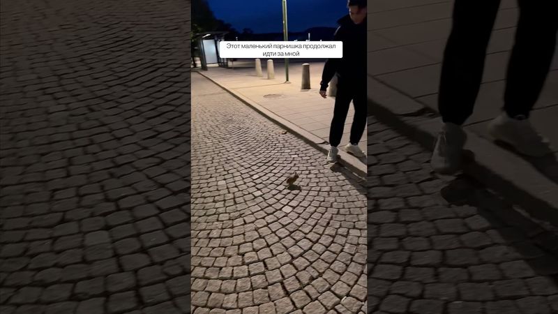 Что то идет за мной по пятам