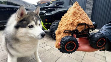 ХАСКИ НАПАЛ на МАШИНУ С ПАШТЕТОМ на Пульте