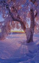 спервымднемзимы#