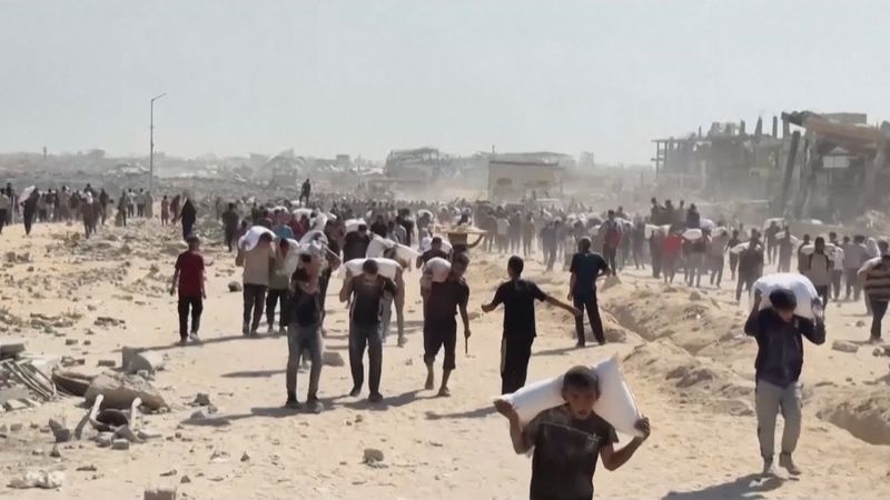 Гуманитарный кризис в Газе: Израиль вводит паузы в боях