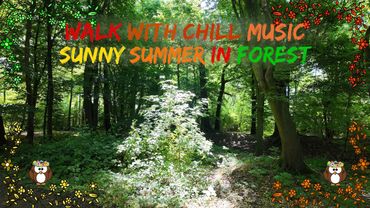 Nature Walk with Chill Music: A Day in a mystical Forest of Münster🌞!