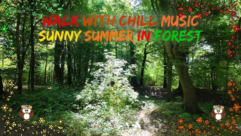 Nature Walk with Chill Music: A Day in a mystical Forest of Münster🌞!