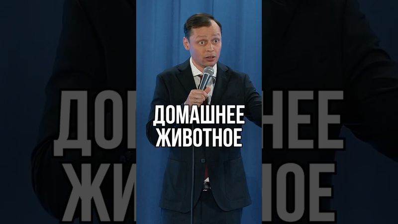Вы разрешаете детям домашнее животное?  #викторкомаров #мастеркомедии