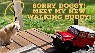 Who Needs a Dog? Walking My RC4WD Gelande II Cruiser Toyota FJ40 is the Ultimate Fun!