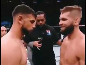 10 minutes most brutal knockout mma