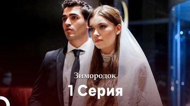 Зимородок 1 Cерия (Русский дубляж)(Длинная Bерсия)