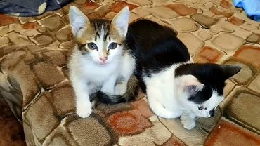 #Славянск. 18 сентября 2025г. Вечер.