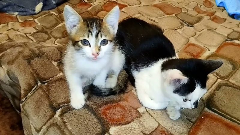 #Славянск. 18 сентября 2025г. Вечер.