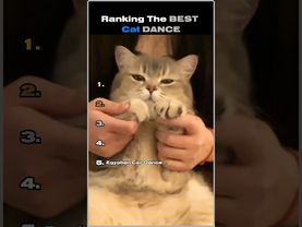 Ranking The Best Cat Dance