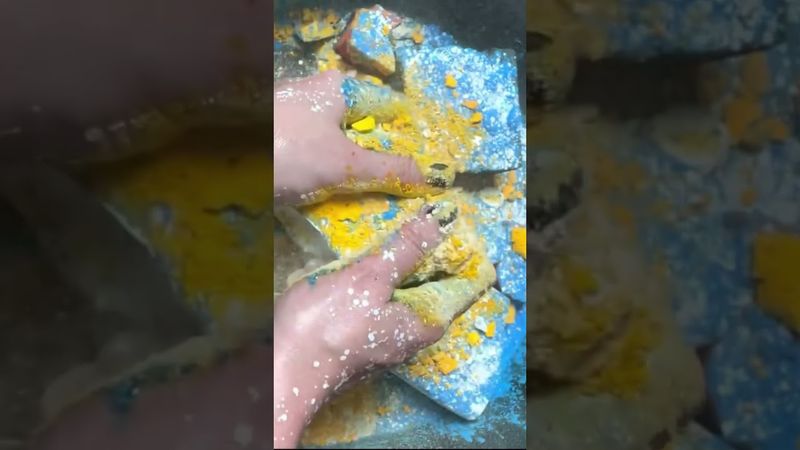 Dyed & Plain Freshies with Blue Powder & White Glitter 🤍