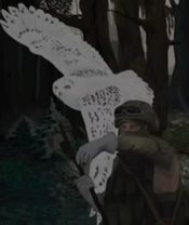 давайте до конца месяца добьем 1000 подписчиков #противнаркоты #реком...