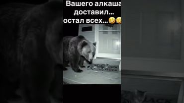 настоящий друг#настоящийдоуг #лучщийдруг