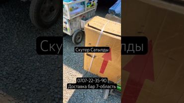 Скутер Сатылды