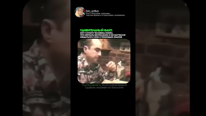 глухая кошка поняла, что ее голос не доходит до него, и приспособилась #биология #сотка #егэбиология