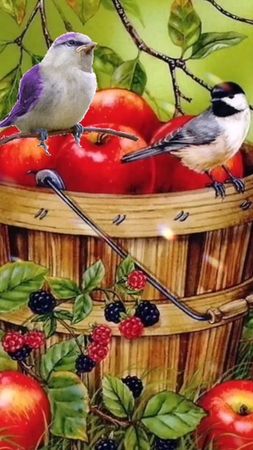 Доброе утречко! Чудесного денёчка! 🌞🌈🤗☕💐🐦🦋